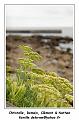 IMG_2702_RD