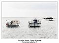 IMG_2717_RD