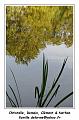 IMG_3045_RD