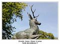 IMG_3051_RD