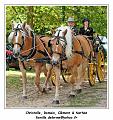 IMG_3059_RD