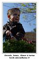 IMG_0789_RD
