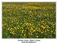 IMG_0790_RD