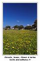 IMG_0796_RD