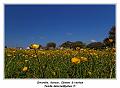 IMG_0797_RD