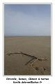 IMG_0624_RD