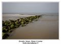 IMG_0631_RD
