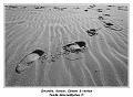 IMG_0641_RD