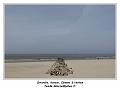 IMG_0645_RD