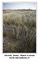 IMG_0646_RD
