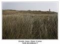 IMG_0647_RD