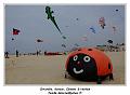 IMG_0695_RD