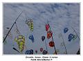 IMG_0696_RD