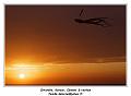 IMG_0708_RD