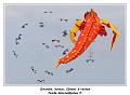 IMG_0772_RD