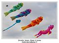 IMG_0778_RD