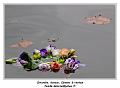 IMG_3543_RD
