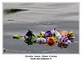 IMG_3544_RD