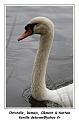 IMG_3545_RD
