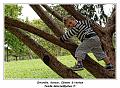 IMG_3581_RD