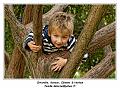 IMG_3593_RD