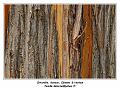 IMG_3598_RD