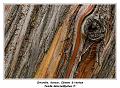 IMG_3599_RD