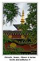 IMG_3618_RD