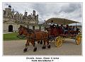 IMG_1116_RD