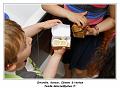IMG_1347_RD