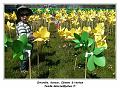 IMG_20140517_152410_RD