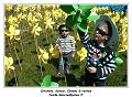 IMG_20140517_152537_RD
