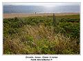 IMG_1709_RD
