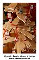 IMG_3893_RD