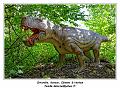 IMG_1619_RD