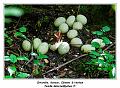 IMG_1620_RD