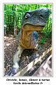 IMG_1622_RD