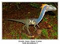 IMG_1624_RD