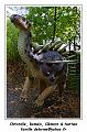 IMG_1629_RD