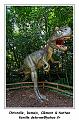 IMG_1630_RD