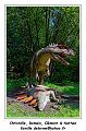 IMG_1631_RD