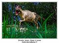 IMG_1632_RD