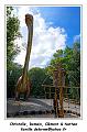 IMG_1642_RD