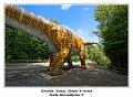 IMG_1647_RD