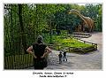 IMG_1652_RD