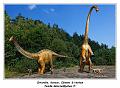 IMG_1653_RD