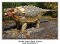 IMG_1657_RD