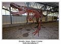 IMG_1658_RD
