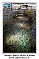 IMG_1659_RD