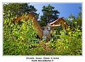 IMG_1665_RD